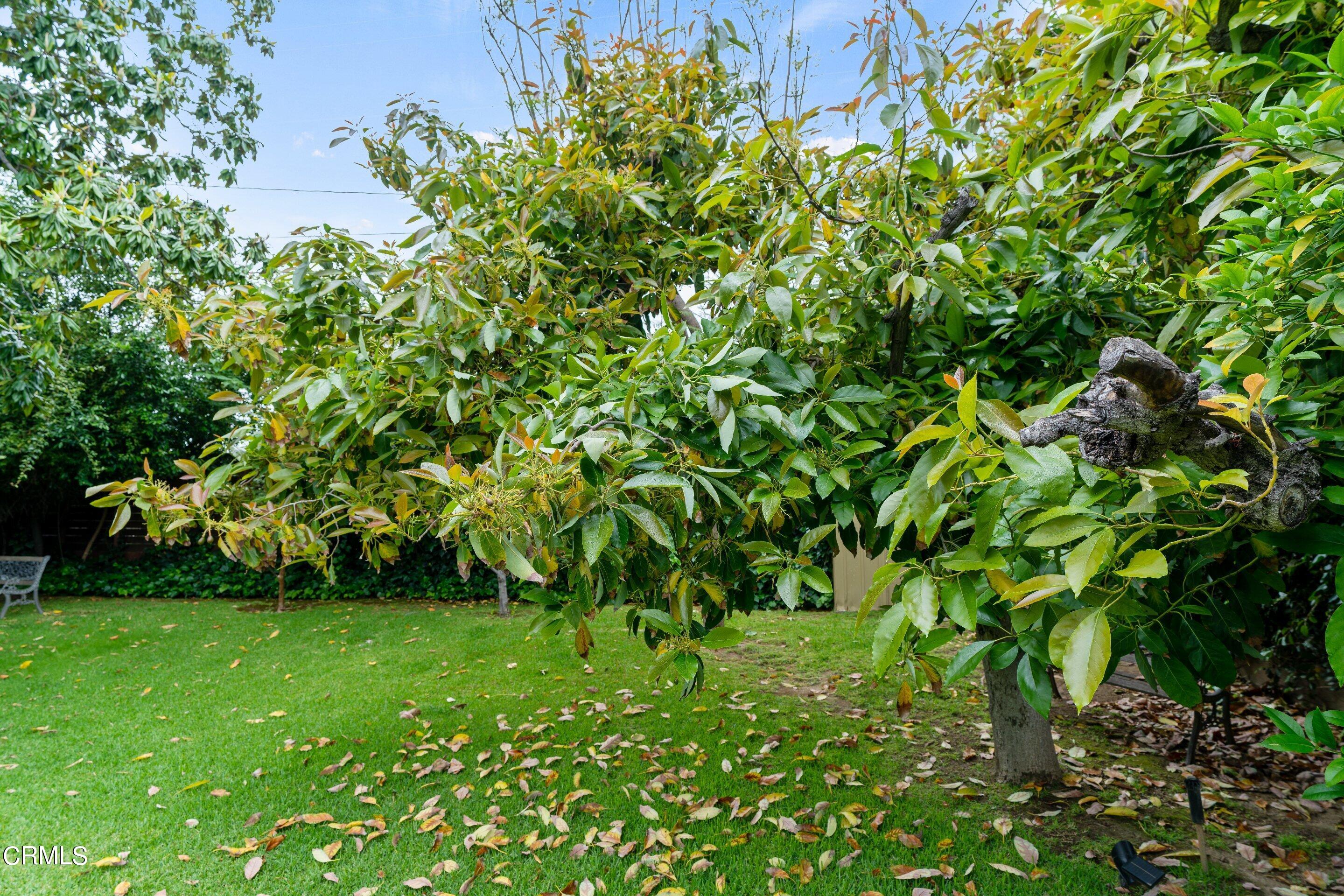 3815 Mayfair Drive Pasadena, CA 91107 - Photo 36 of 38 a backyard of a house with lots of green space