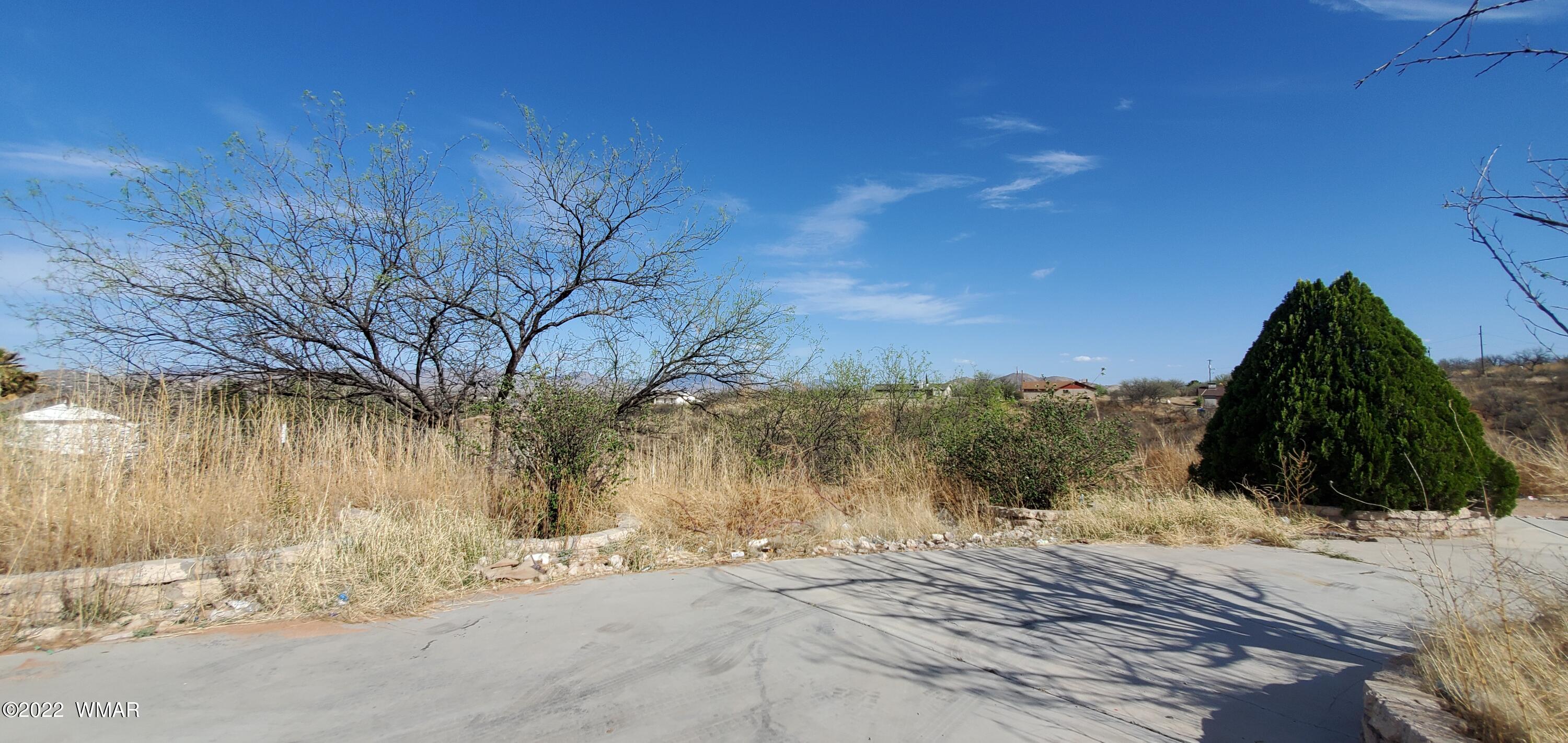 973 Via Puebla Other Az 85548 Rio Rico, AZ 85648 - Photo 34 of 36