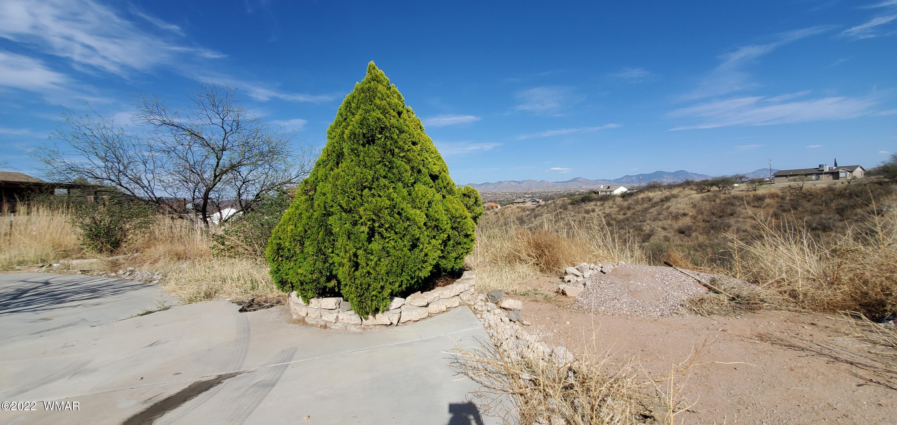 973 Via Puebla Other Az 85548 Rio Rico, AZ 85648 - Photo 35 of 36