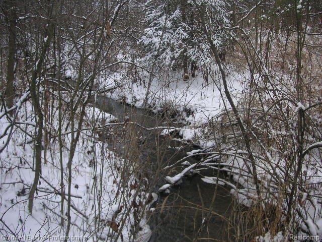 13332 Bemis Road Manchester, MI 48158 - Photo 20 of 25 Bemis, Vacant 018