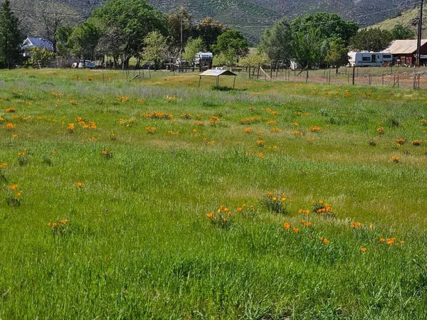 a view of a golf course with a lake