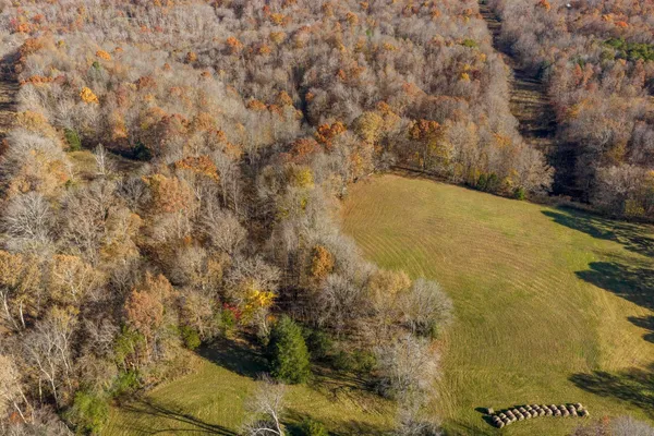 an aerial view of residential houses with outdoor space and trees