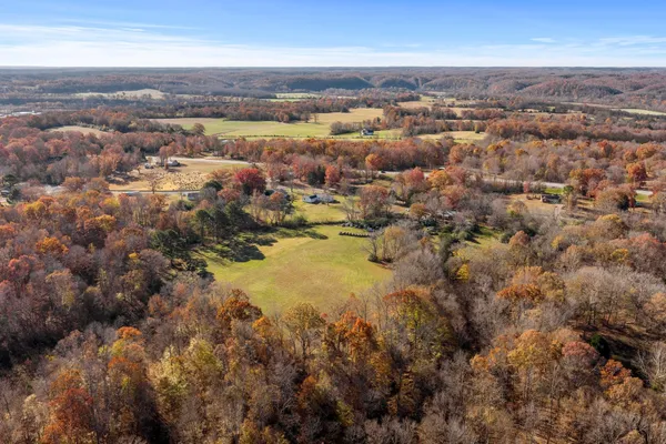 a view of yard with tree