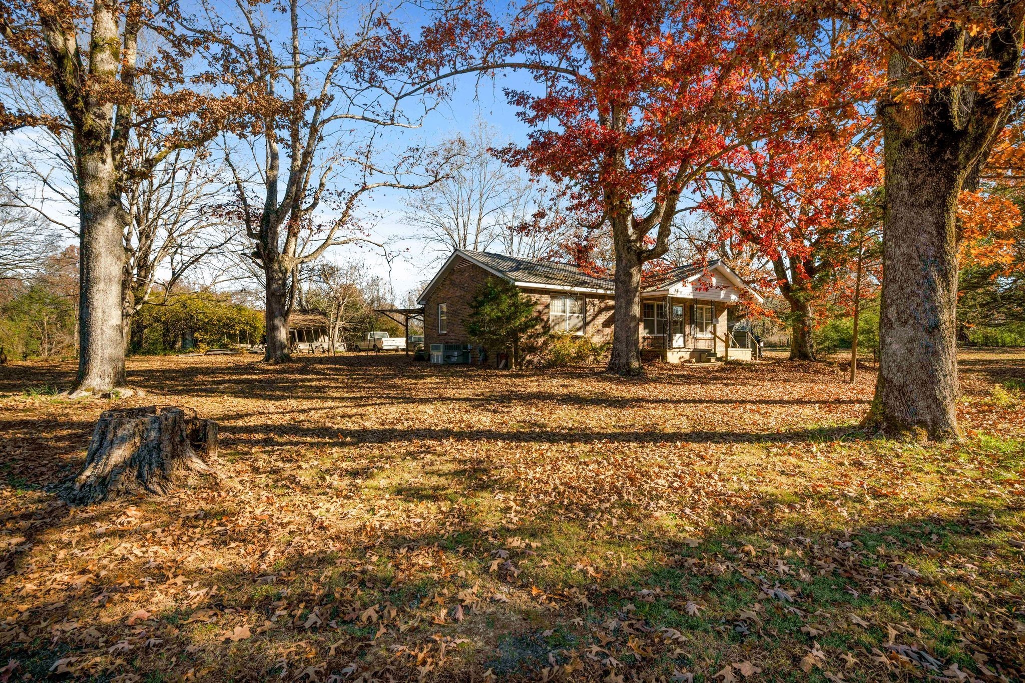 1032 Old State Rte 50 Centerville, TN 37033 - Photo 16 of 33 a view of yard with tree