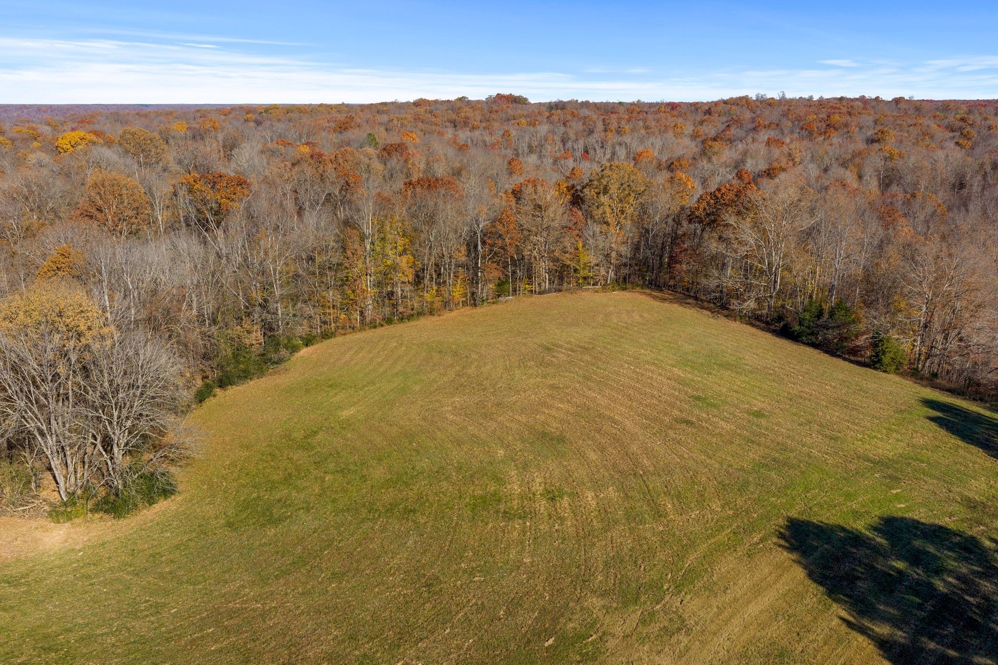 1032 Old State Rte 50 Centerville, TN 37033 - Photo 21 of 33 a view of a mountain view