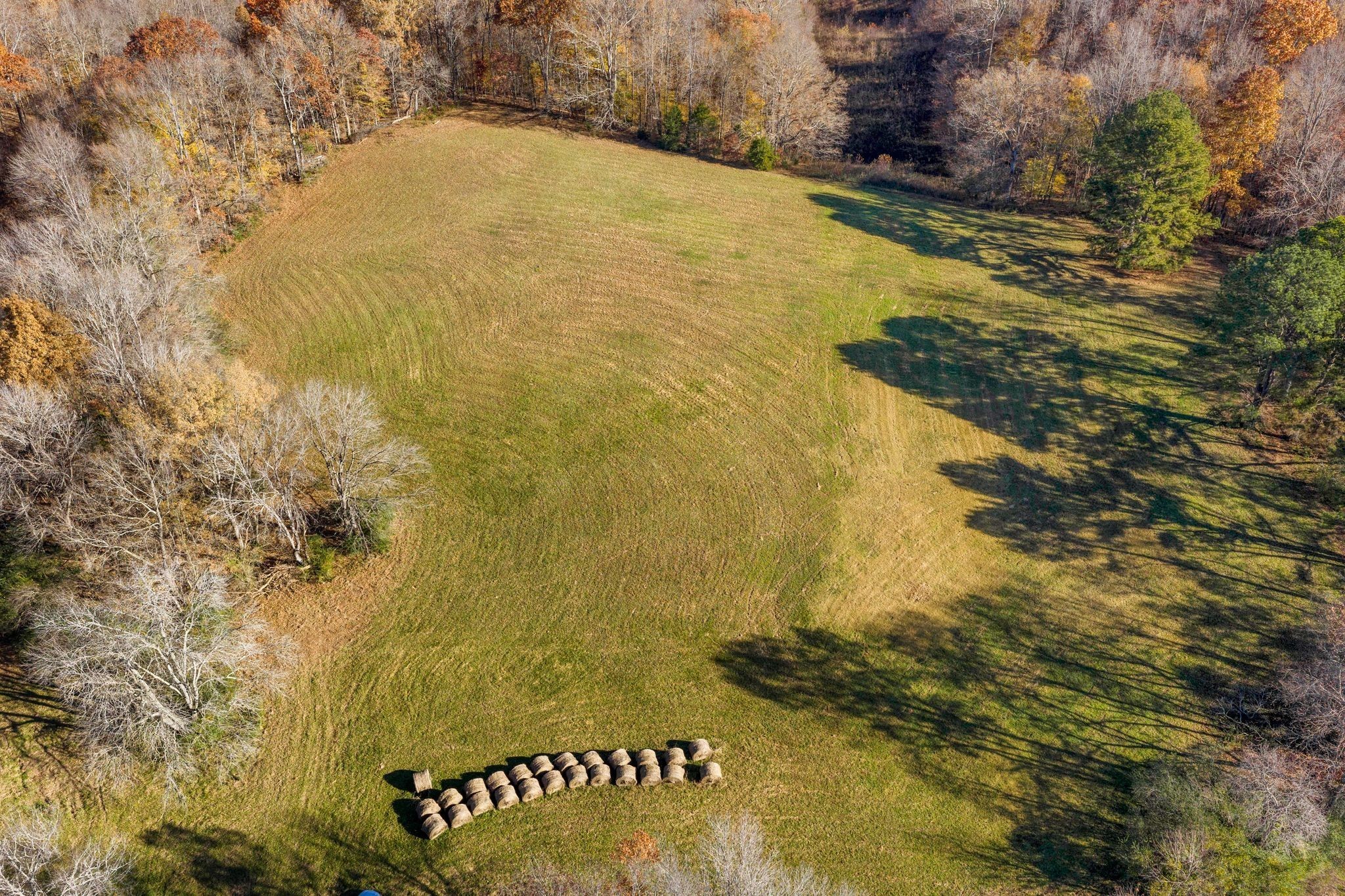 1032 Old State Rte 50 Centerville, TN 37033 - Photo 6 of 33 a view of lake
