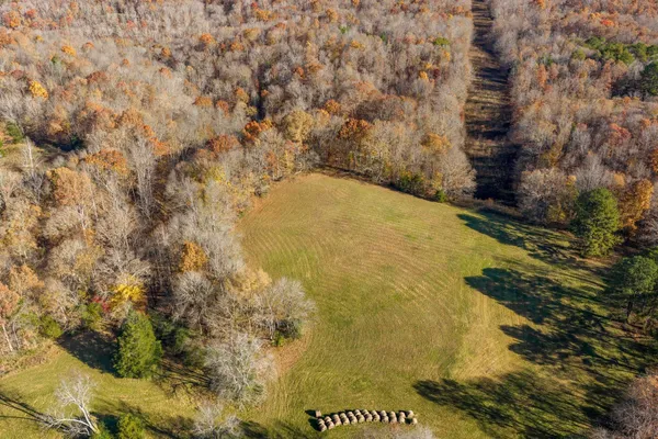 a view of road view with large trees