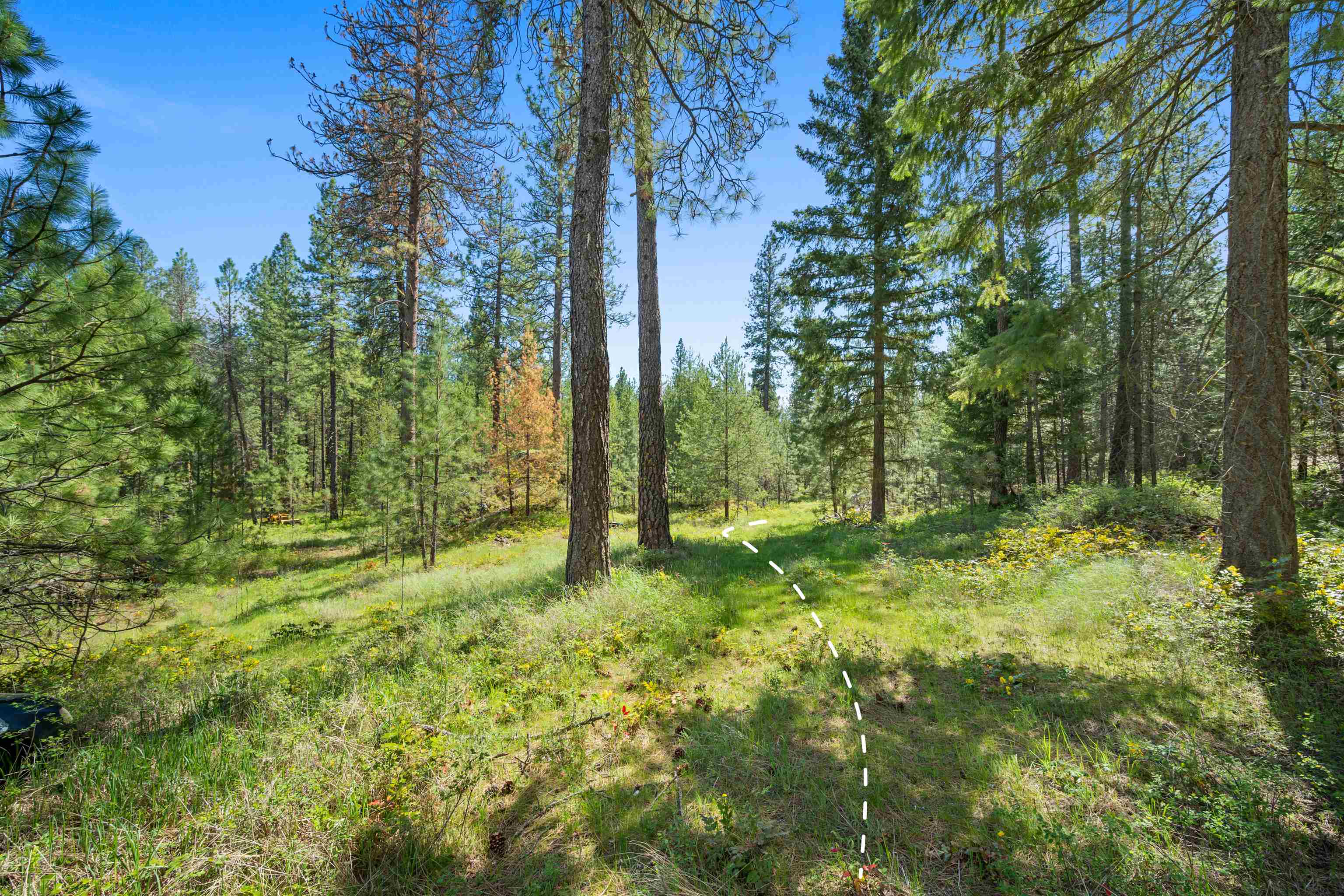 230-xx North Crescent Road Colbert, WA 99005 - Photo 7 of 24