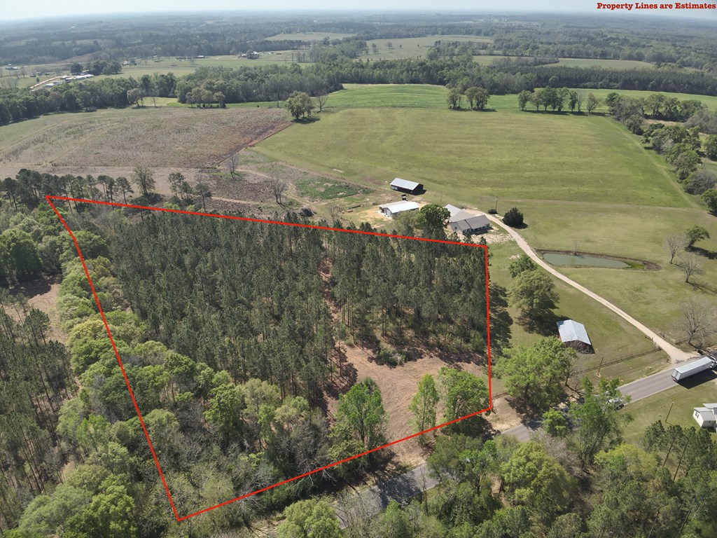 Lot 2 South County Road Slocomb, AL 36375 - Photo 2 of 19