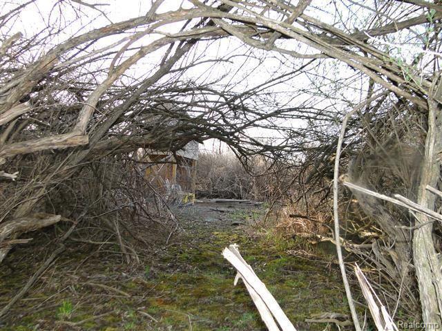 4093 Peters Road Columbiaville, MI 48421 - Photo 30 of 32 Entance to Kids Fort Area.jpg