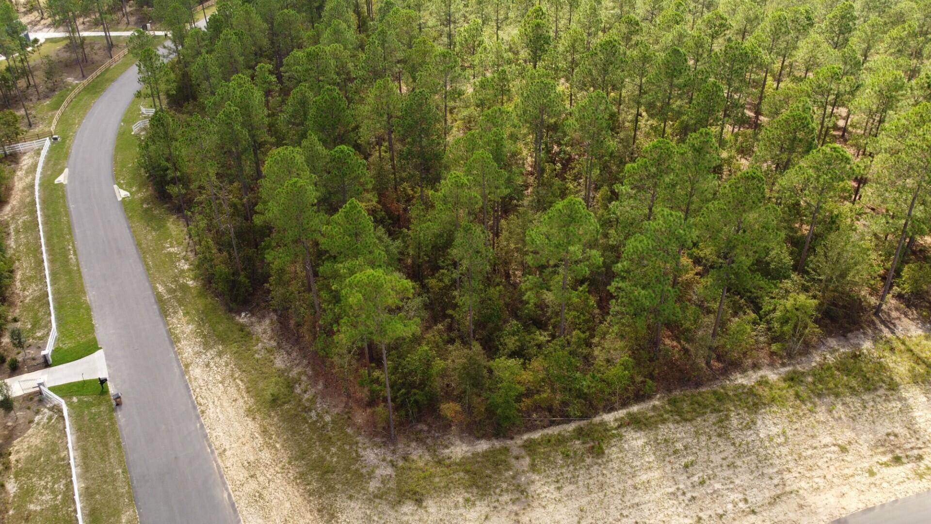Lot 44 Anderson Farms Road Wagener, SC 29164 - Photo 1 of 5 a view of a yard with plants