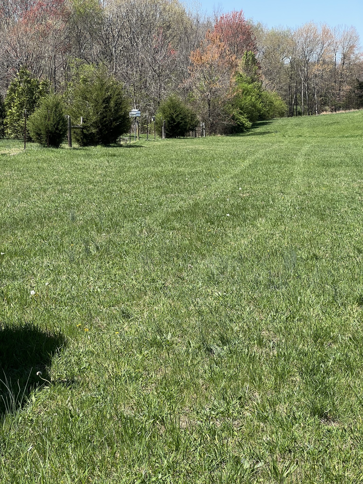 0 New Deal Potts Road Cottontown, TN 37048 - Photo 2 of 10 a view of outdoor space and yard