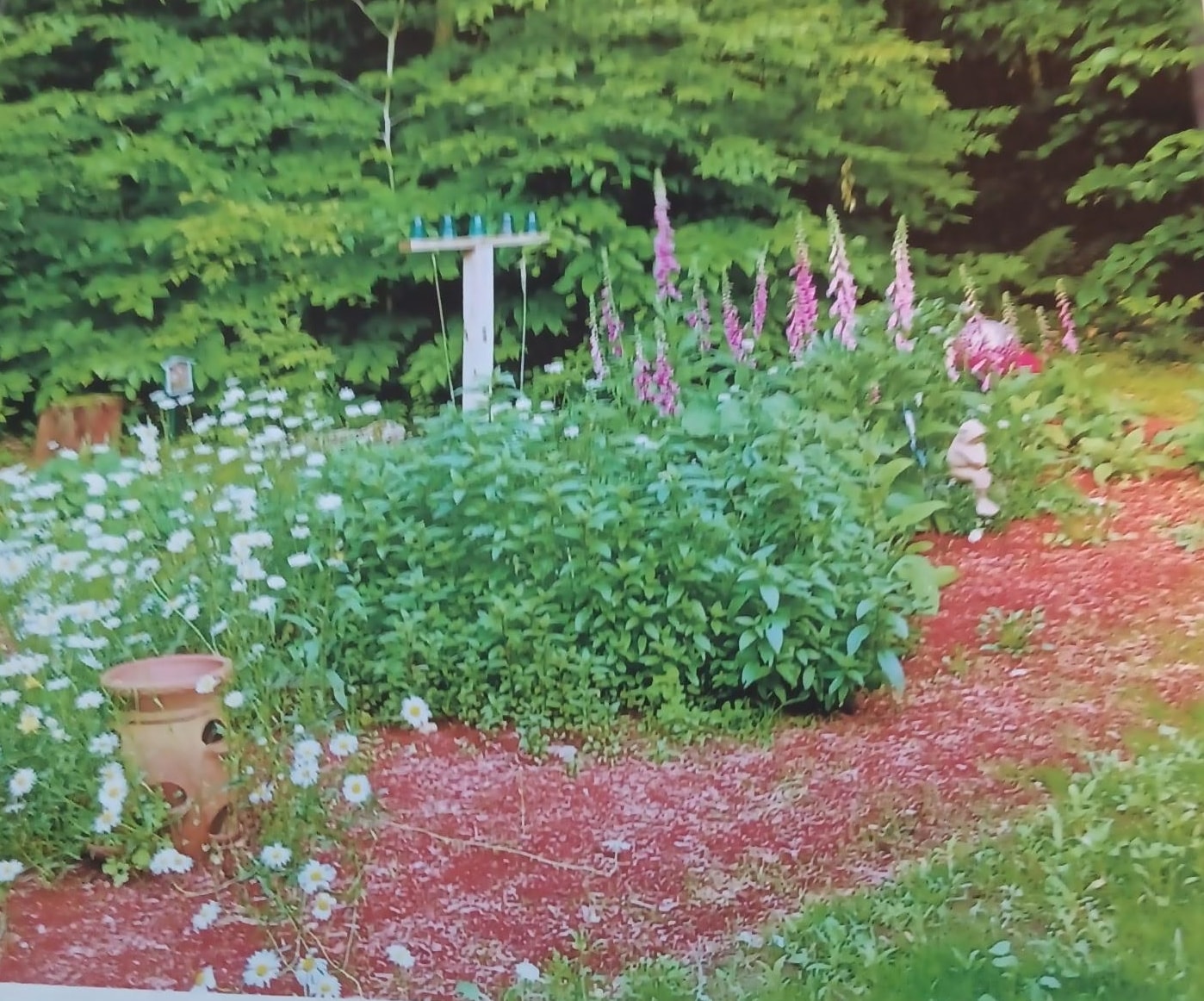 10 Foss Drive Barnstead, NH 03225 - Photo 52 of 53