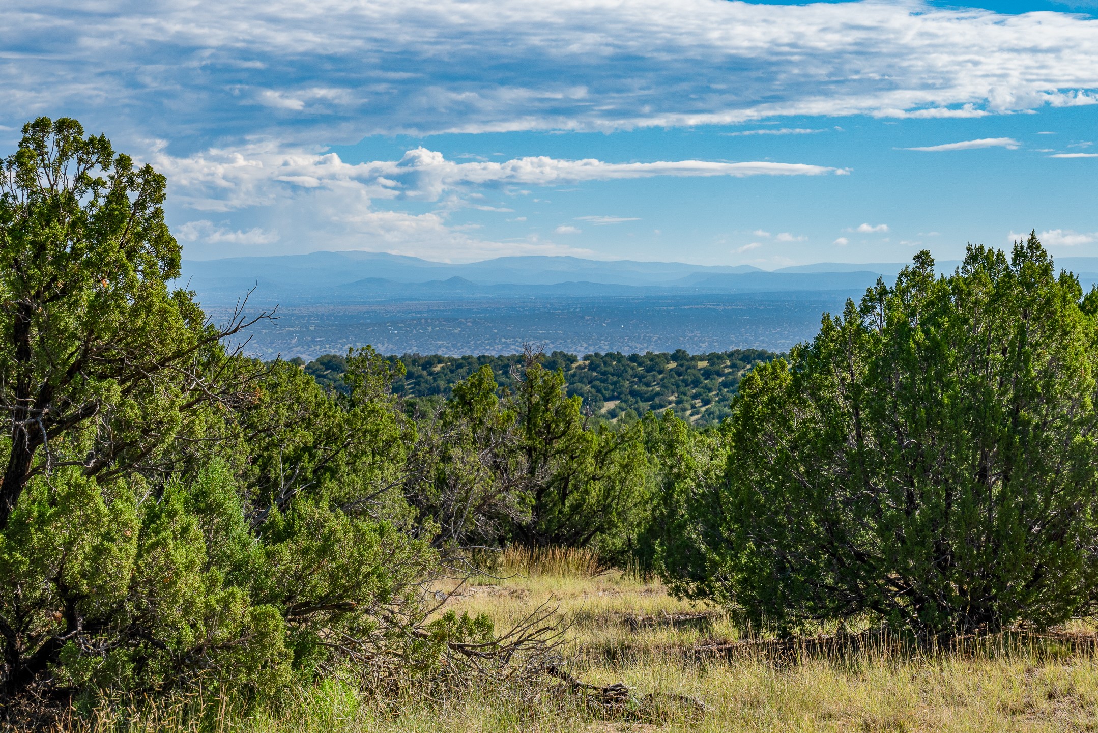 95 Grenfell Ranch Road Cerrillos, NM 87010 - Photo 11 of 47