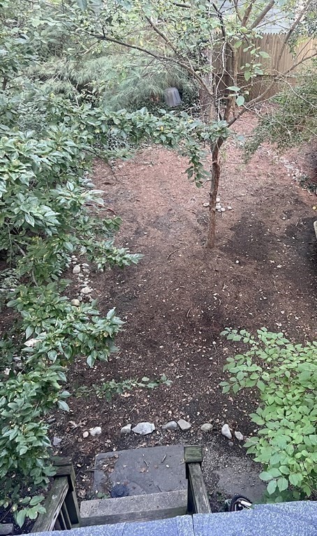 112 Franklin Street, Unit 2 Brookline, MA 02445 - Photo 22 of 25