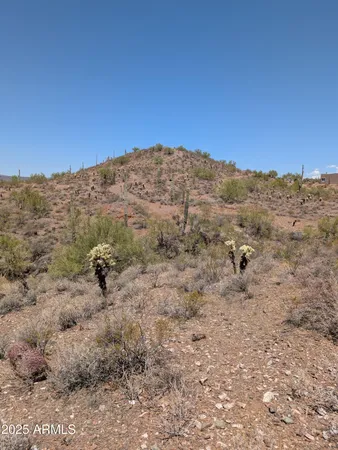 a view of a dry field