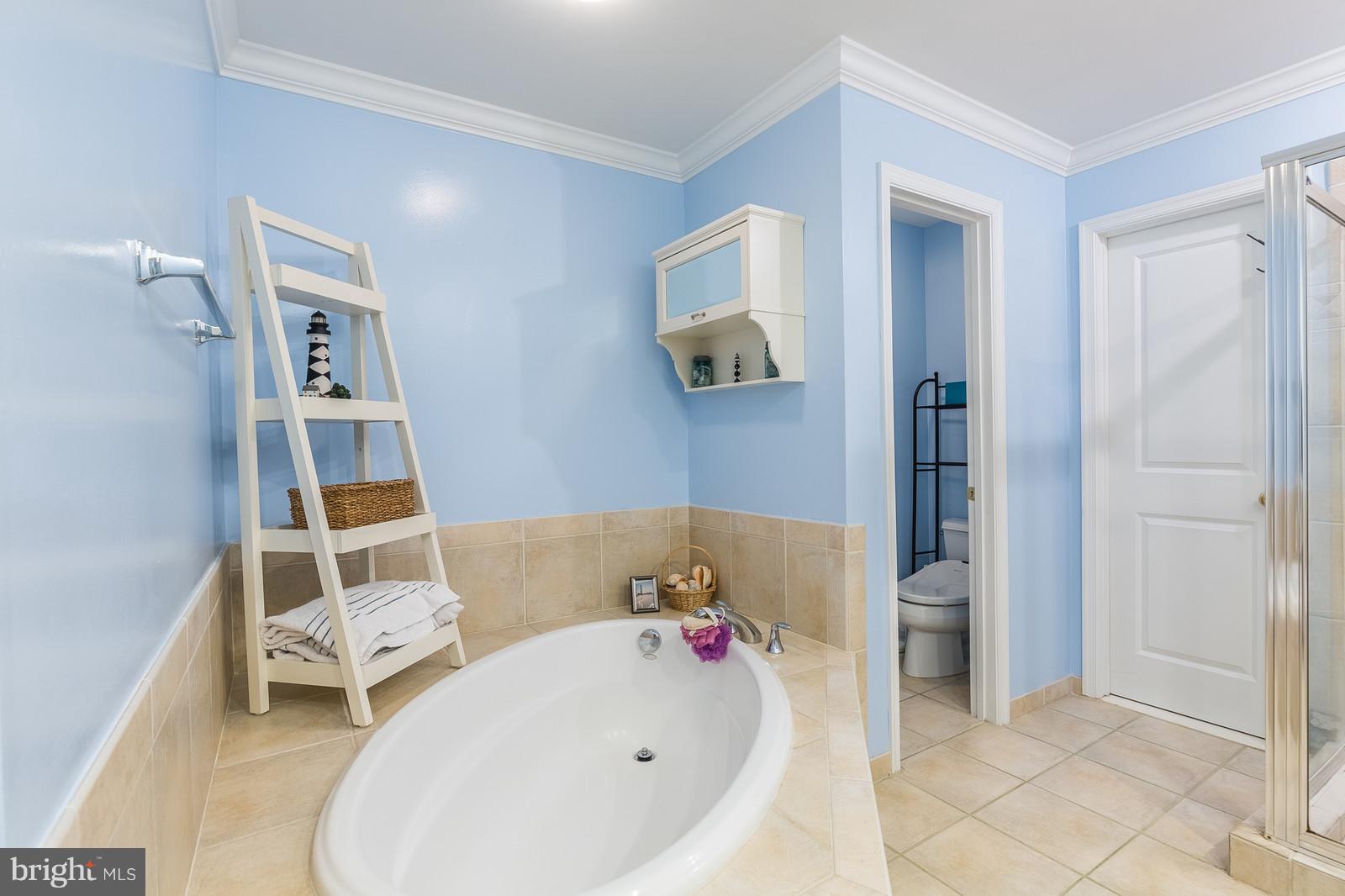 9002 Ribbon Falls Loop Bristow, VA 20136 - Photo 17 of 30 Bedroom (Master)
