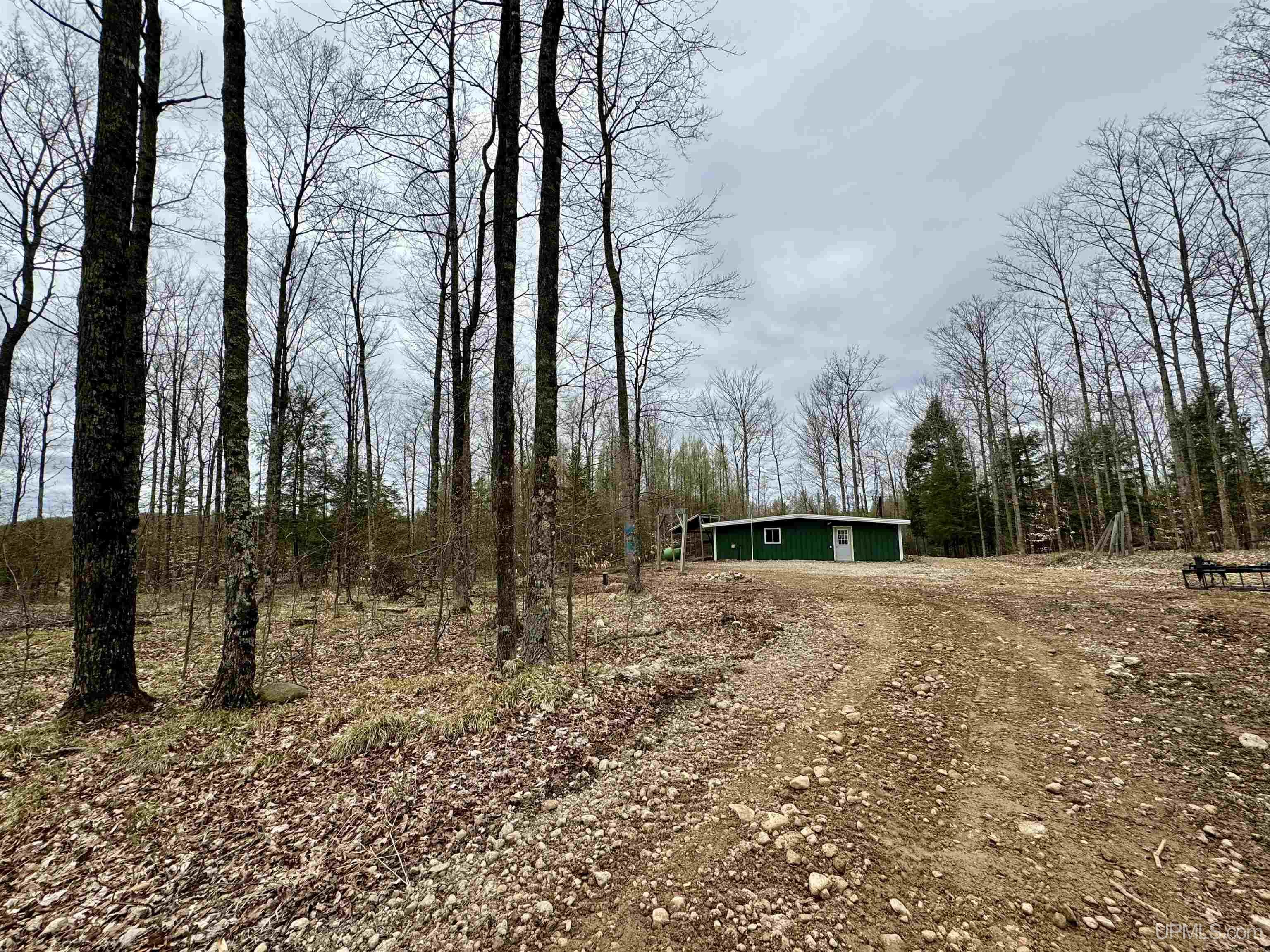 Tbd Tbd Sand Road Road Perronville, MI 49873 - Photo 11 of 25