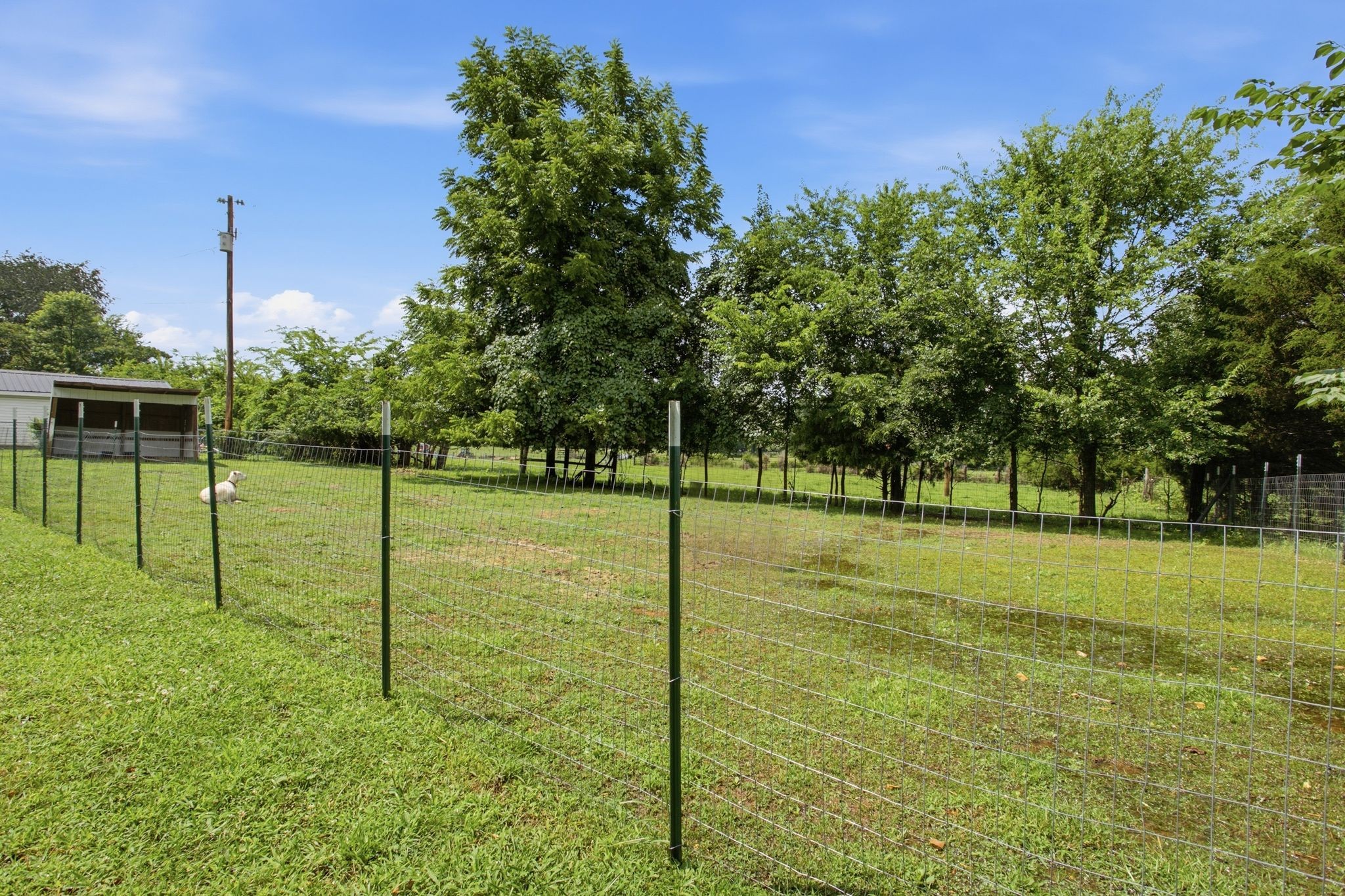 1900 Holly Grove Road Lewisburg, TN 37091 - Photo 40 of 40