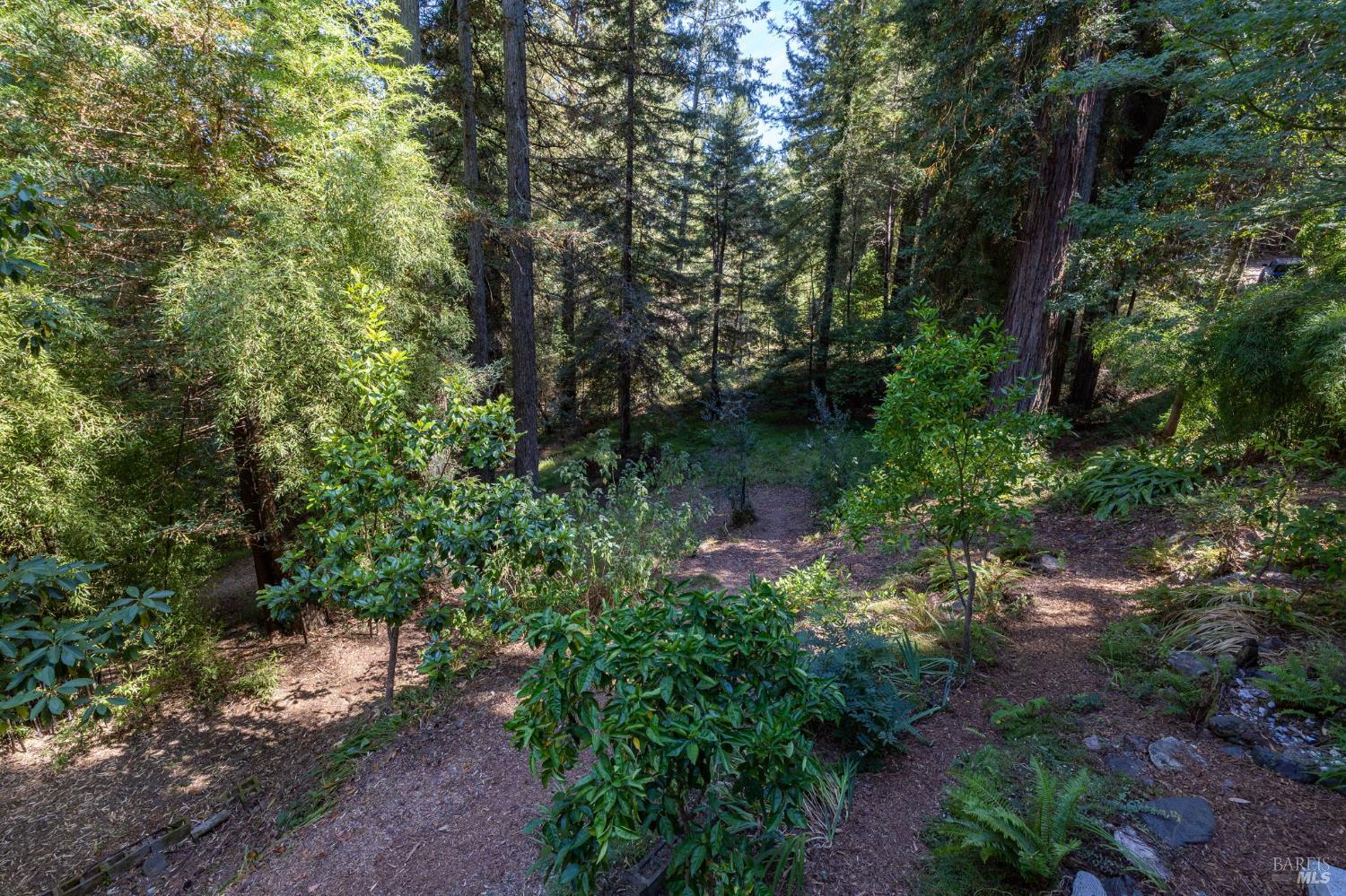 2132 Green Hill Road Sebastopol, CA 95472 - Photo 47 of 55 Room to develop terraced gardens!