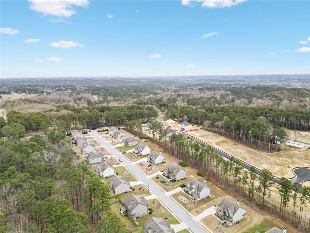 1269 Victoria Walk Lane Dacula, GA 30019 - Photo 45 of 46