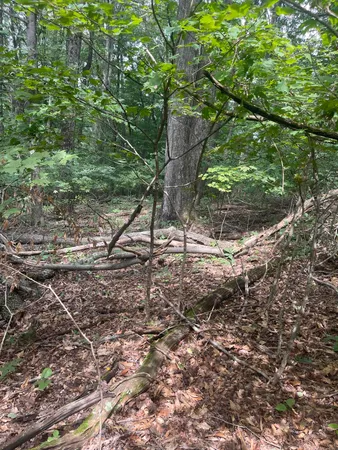 $37,500 | Lot 48 Chimney Top Lane, Unit 48, Chuckey, TN 37641