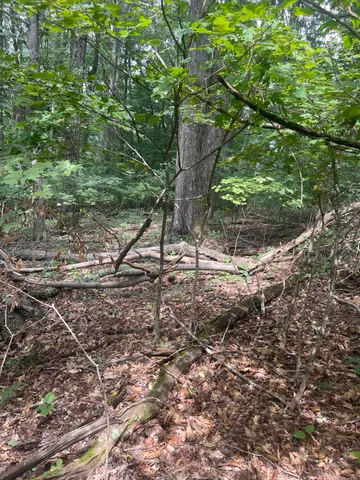 $37,500 | Lot 48 Chimney Top Lane, Unit 48, Chuckey, TN 37641