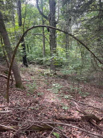 $37,500 | Lot 48 Chimney Top Lane, Unit 48, Chuckey, TN 37641