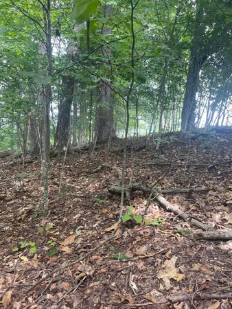 $37,500 | Lot 48 Chimney Top Lane, Unit 48, Chuckey, TN 37641