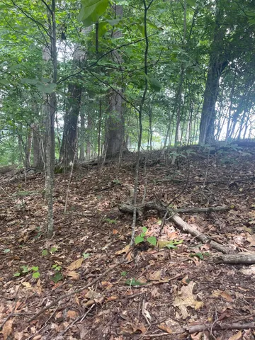 $37,500 | Lot 48 Chimney Top Lane, Unit 48, Chuckey, TN 37641