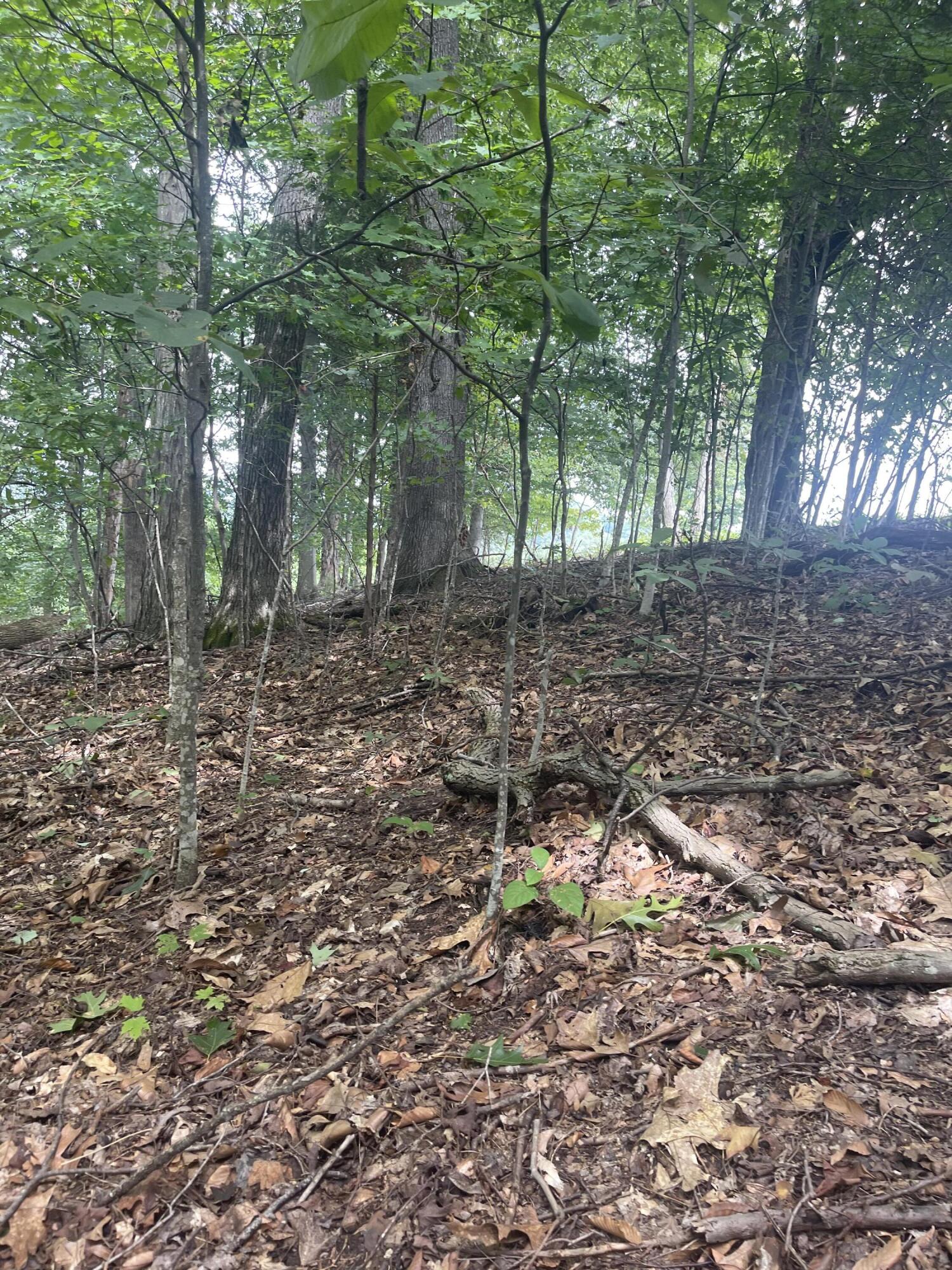 Lot 48 Chimney Top Lane, Unit 48 Chuckey, TN 37641 - Photo 13 of 15 C0FC79C1-8F36-4598-9192-AC8EF7F523C5