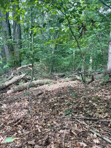 $37,500 | Lot 48 Chimney Top Lane, Unit 48, Chuckey, TN 37641