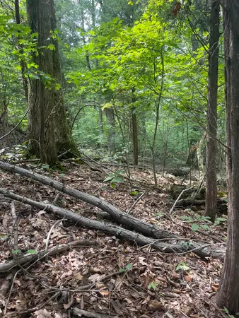 $37,500 | Lot 48 Chimney Top Lane, Unit 48, Chuckey, TN 37641