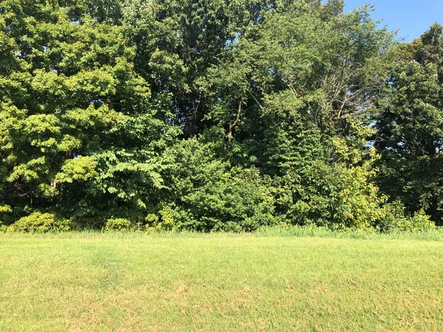 $37,500 | Lot 48 Chimney Top Lane, Unit 48, Chuckey, TN 37641