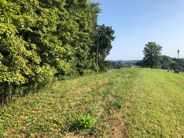 $37,500 | Lot 48 Chimney Top Lane, Unit 48, Chuckey, TN 37641