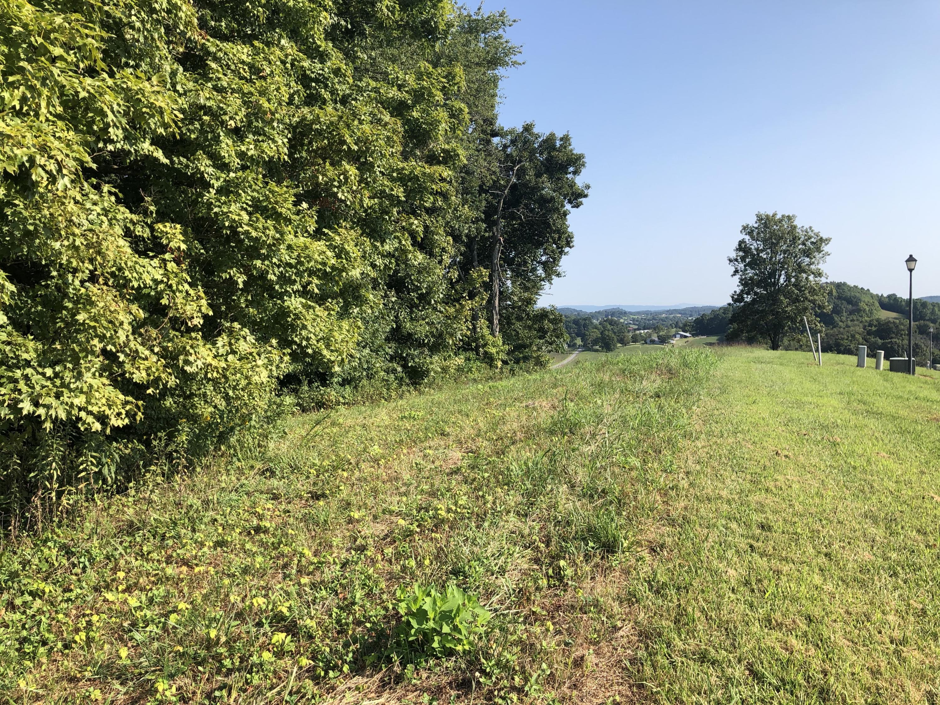 Lot 48 Chimney Top Lane, Unit 48 Chuckey, TN 37641 - Photo 3 of 15 AEvY%4xFT9ePLT7AOvr3jw