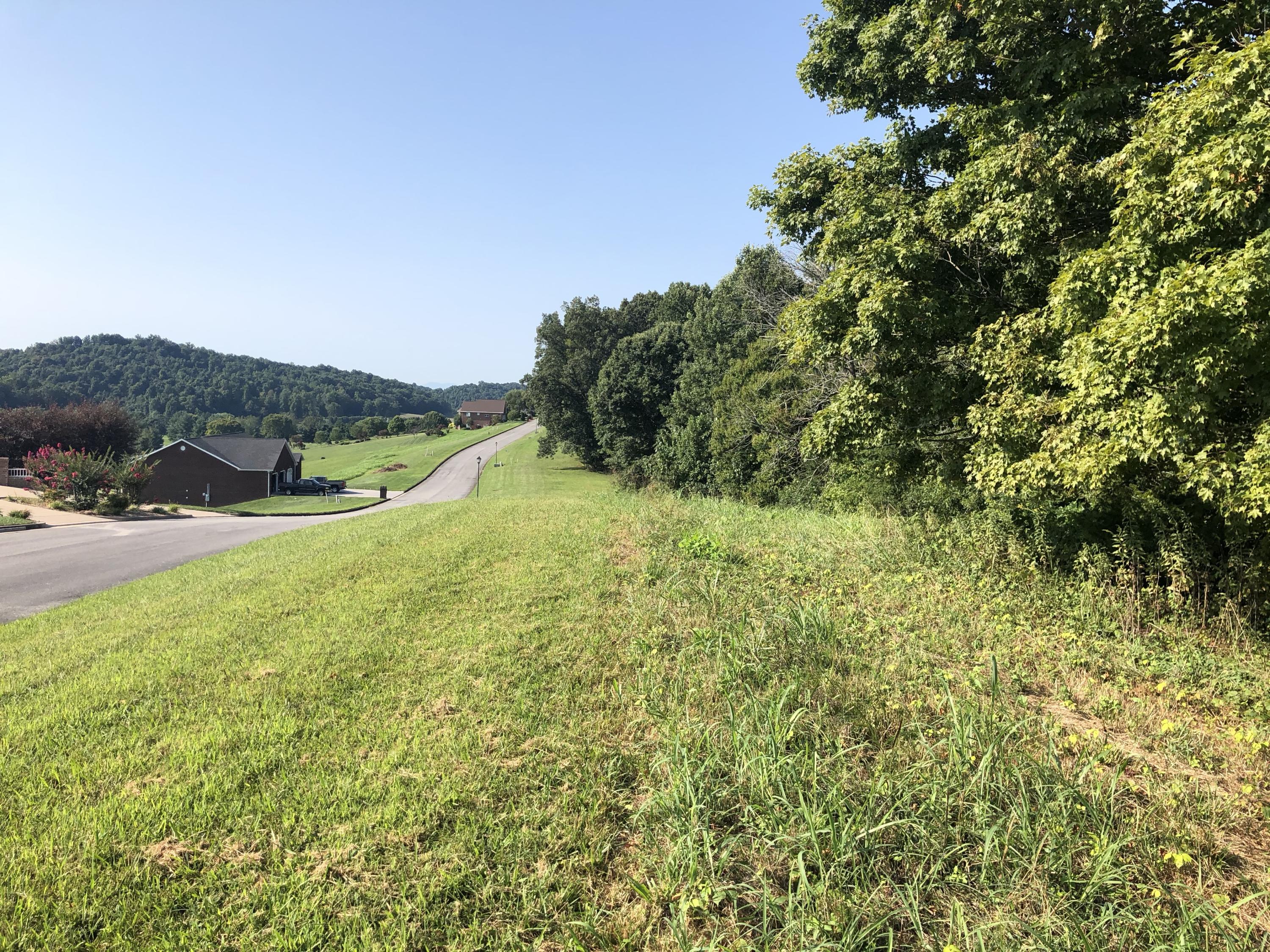 Lot 48 Chimney Top Lane, Unit 48 Chuckey, TN 37641 - Photo 4 of 15 WHvHf5j0RseHycDxEIFLoQ