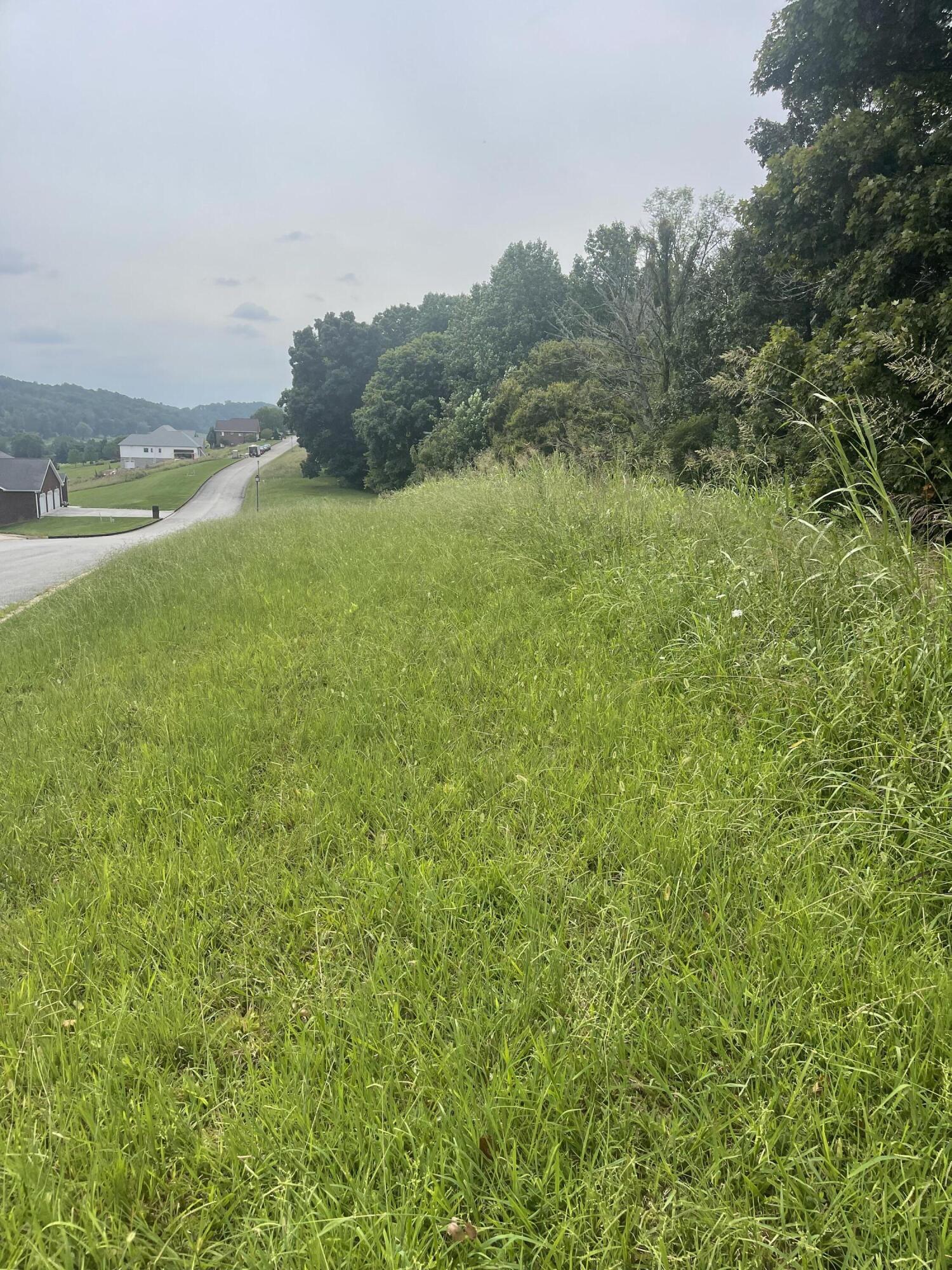 Lot 48 Chimney Top Lane, Unit 48 Chuckey, TN 37641 - Photo 5 of 15 AD958509-6796-498B-BBE5-370F8D8D0F4F