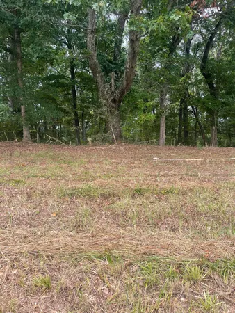 $37,500 | Lot 48 Chimney Top Lane, Unit 48, Chuckey, TN 37641
