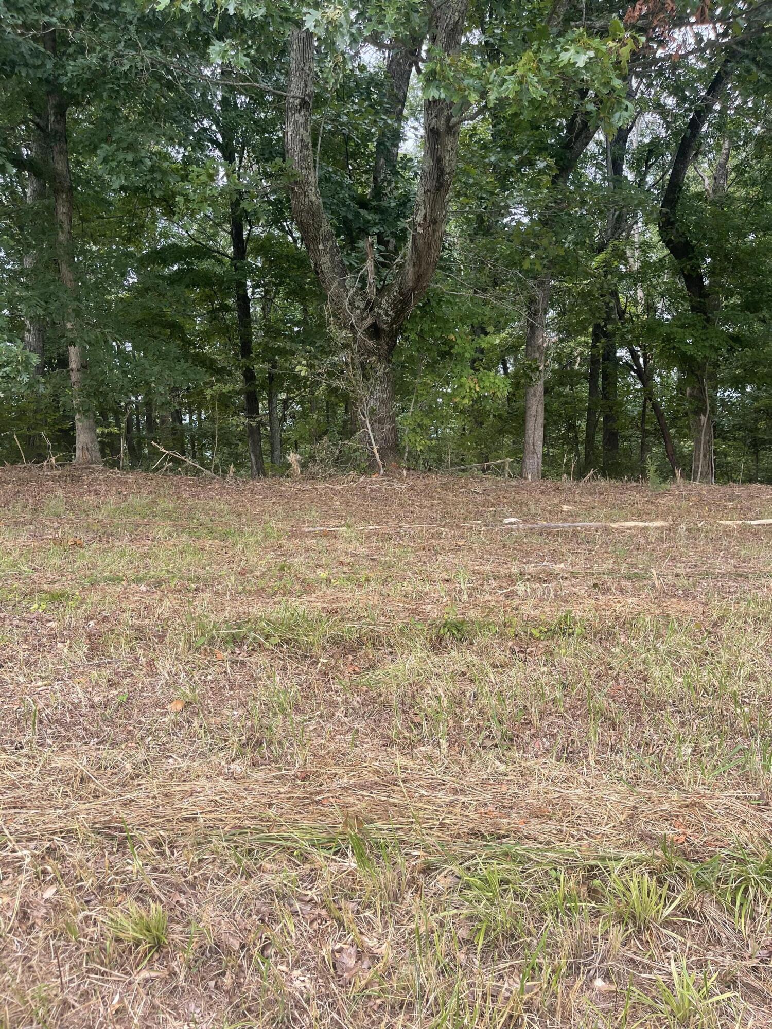 Lot 48 Chimney Top Lane, Unit 48 Chuckey, TN 37641 - Photo 6 of 15 D8832969-D53B-4114-8A08-7C835DF94271
