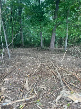 $37,500 | Lot 48 Chimney Top Lane, Unit 48, Chuckey, TN 37641