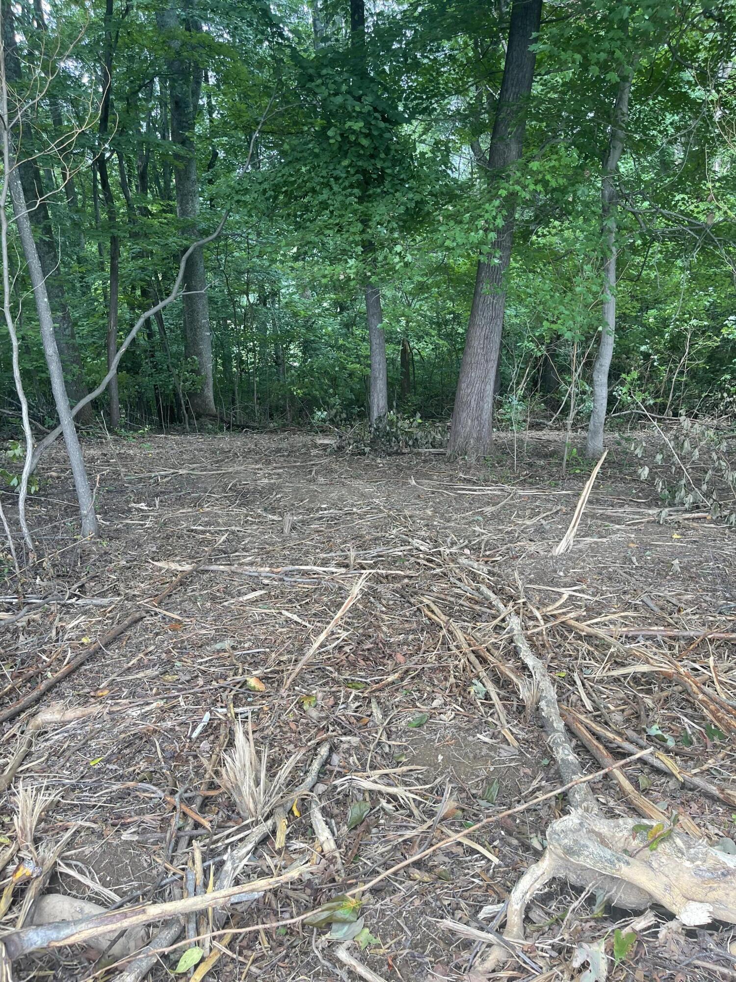 Lot 48 Chimney Top Lane, Unit 48 Chuckey, TN 37641 - Photo 7 of 15 87C15C96-0DF4-4CCB-A4F8-64467AB5F668