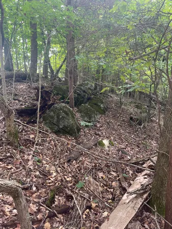 $37,500 | Lot 48 Chimney Top Lane, Unit 48, Chuckey, TN 37641