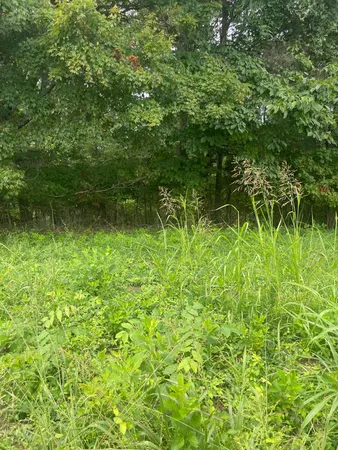 $37,500 | Lot 48 Chimney Top Lane, Unit 48, Chuckey, TN 37641