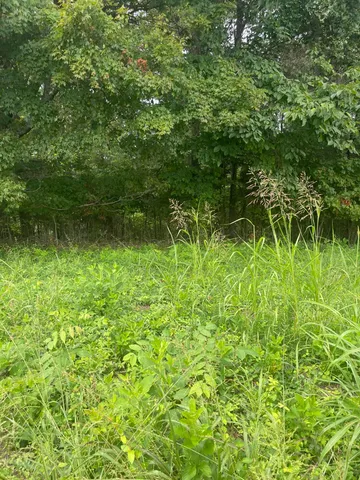 $37,500 | Lot 48 Chimney Top Lane, Unit 48, Chuckey, TN 37641