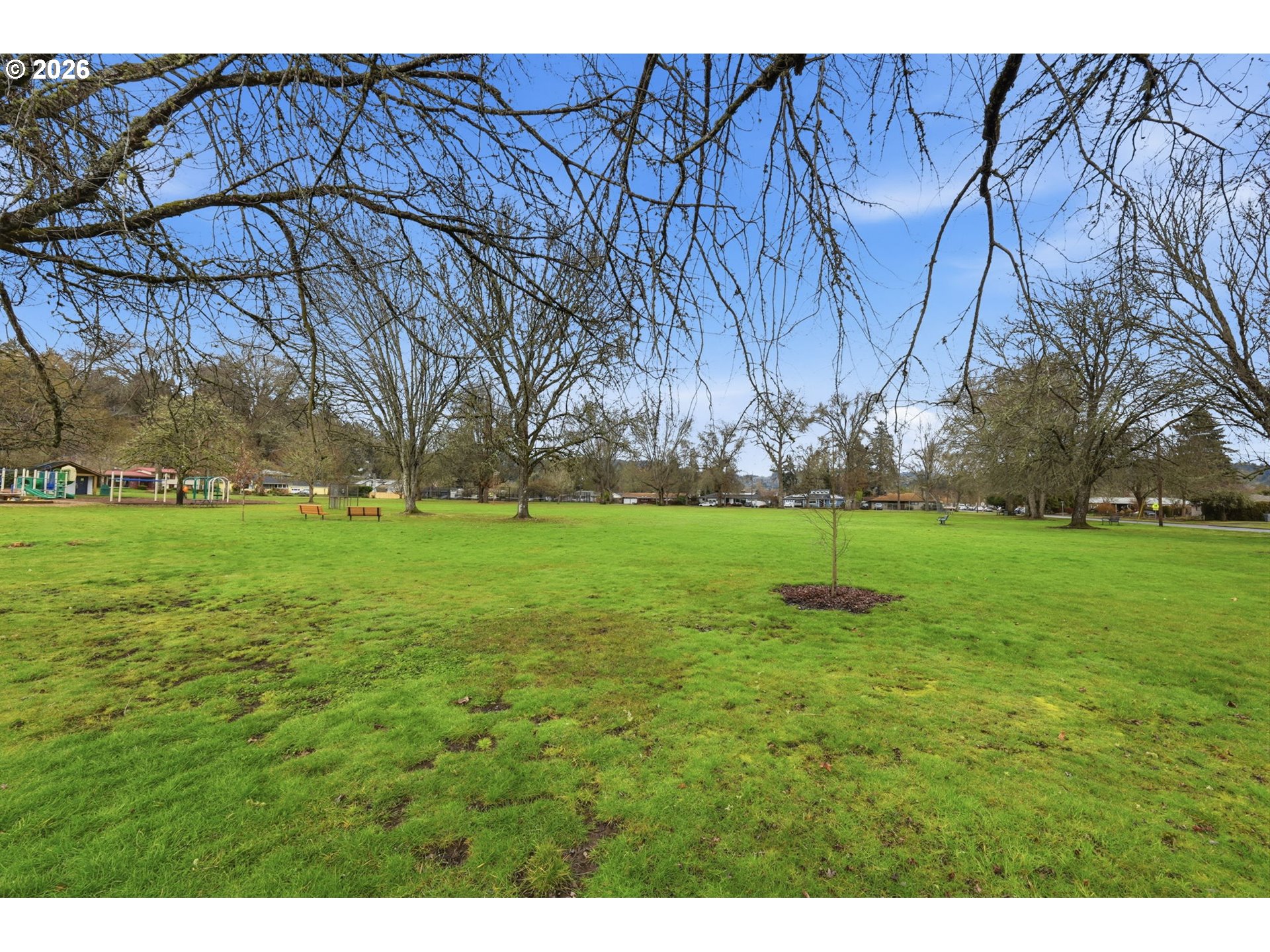2710 Northwest Garfield Avenue Corvallis, OR 97330 - Photo 45 of 48 a view of a park with large trees