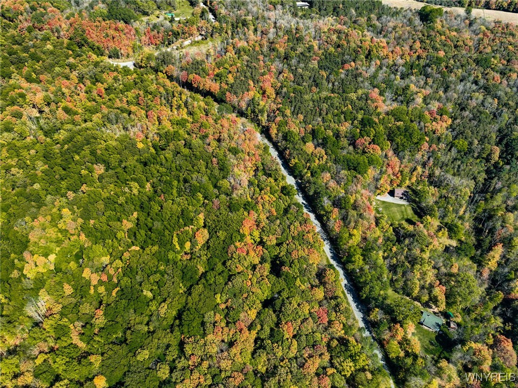 Buffalo Road Attica, NY 14011 - Photo 11 of 16