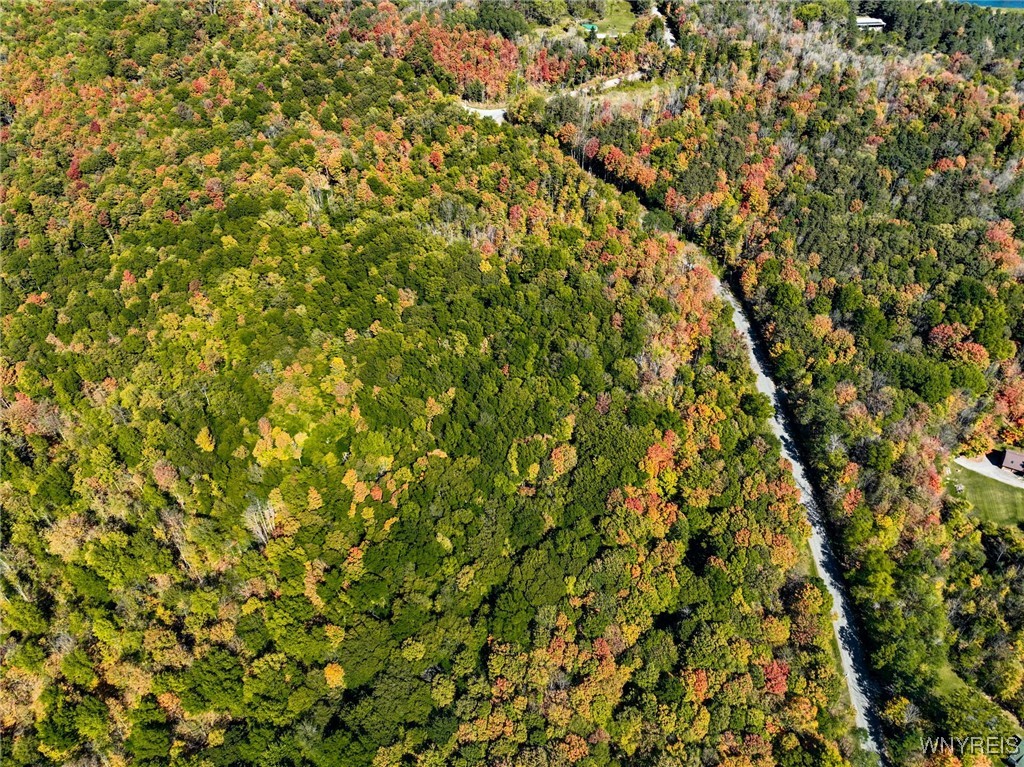 Buffalo Road Attica, NY 14011 - Photo 12 of 16