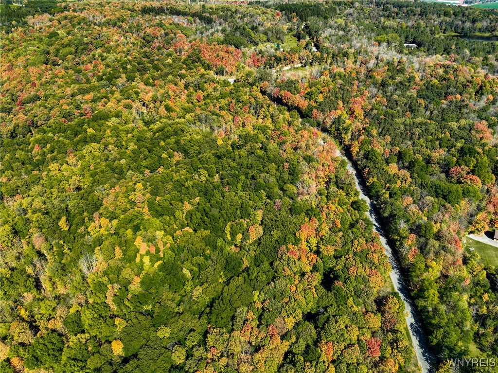 Buffalo Road Attica, NY 14011 - Photo 13 of 16