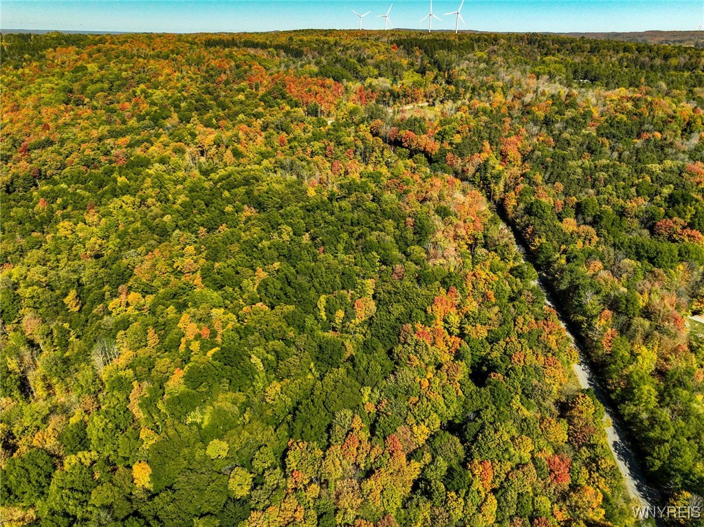 Buffalo Road Attica, NY 14011 - Photo 14 of 16